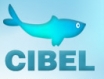 complexe-industriel-et-commercial-bel-hassan-cibel