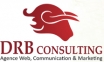 drb-consulting